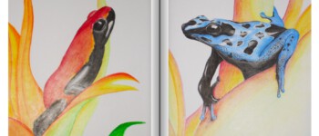 Jacqueline Grohs - Malschule